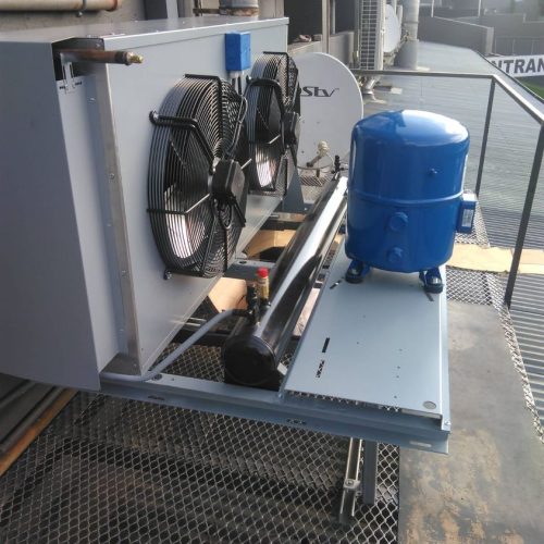 218802400_904877690155612_4006375627146752669_n