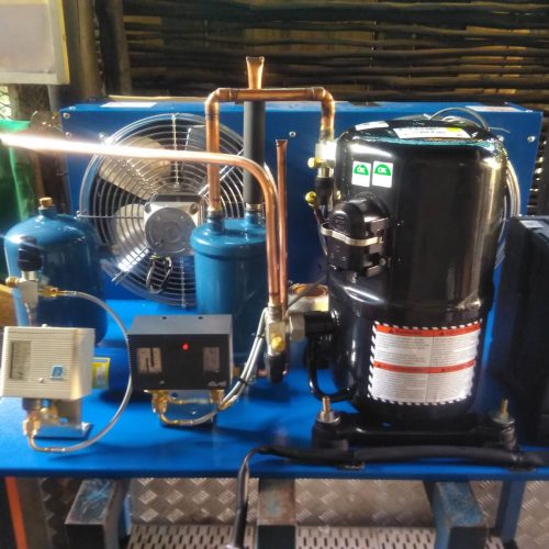 d776153c-8696-486e-9194-126c36040519